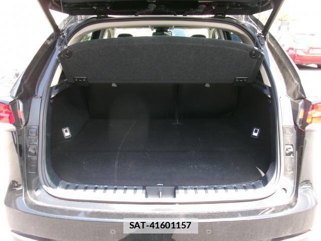 Lexus NX 2019-05 7800522-18