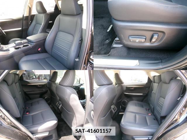 Lexus NX 2019-05 7800522-7