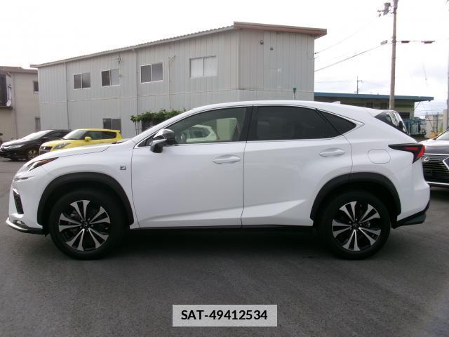 Lexus NX 2021-02 7800528-10