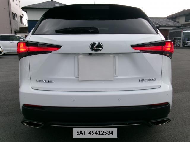 Lexus NX 2021-02 7800528-11