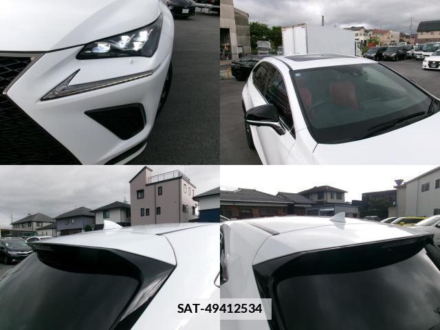 Lexus NX 2021-02 7800528-12