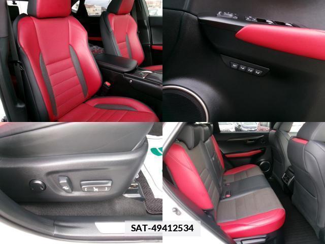 Lexus NX 2021-02 7800528-6