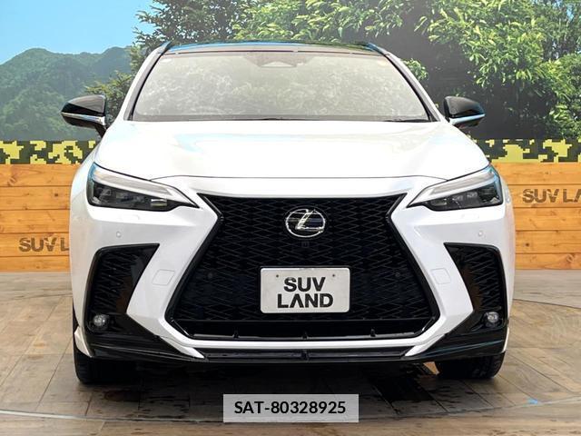 Lexus NX 2024-07 7801309-13
