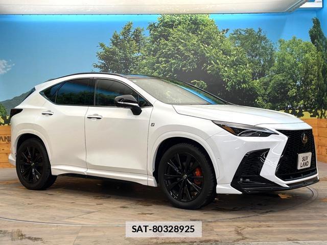 Lexus NX 2024-07 7801309-15