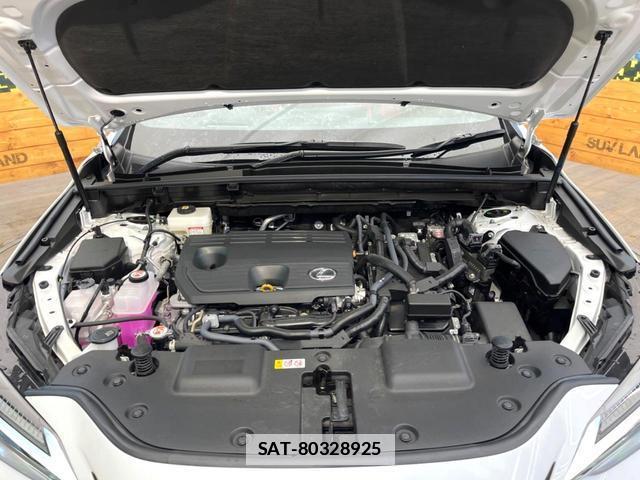 Lexus NX 2024-07 7801309-17