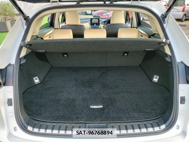 Lexus NX 2016-08 7802361-11