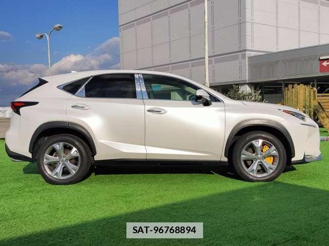 Lexus NX 2016-08 7802361-16