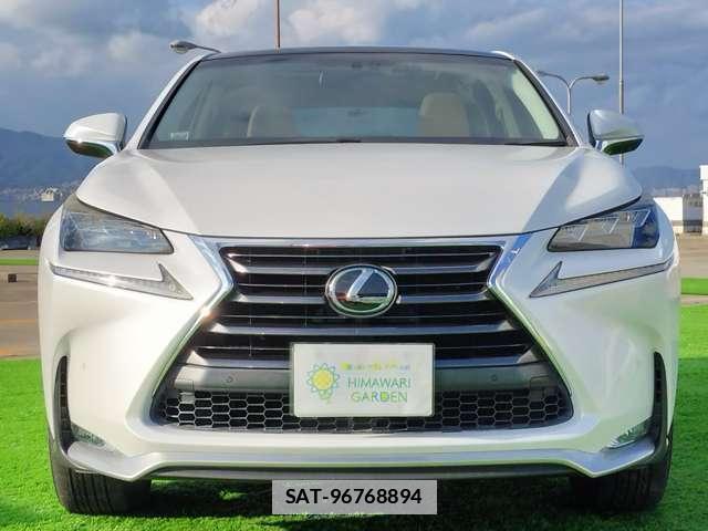 Lexus NX 2016-08 7802361-18
