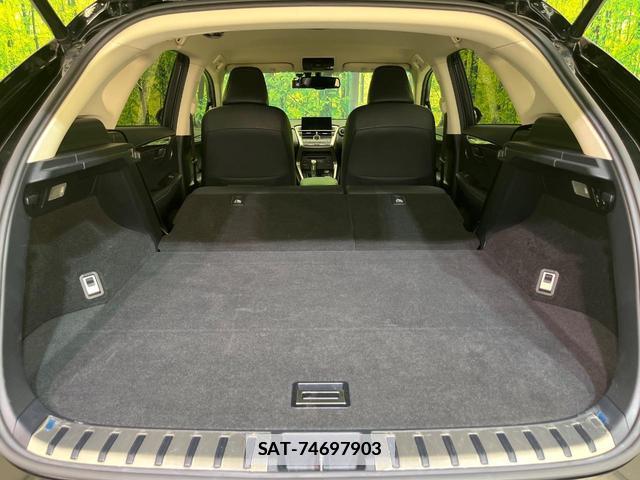 Lexus NX 2014-08 7802485-10