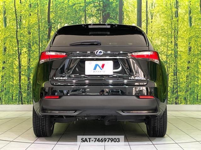 Lexus NX 2014-08 7802485-14