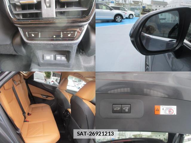 Lexus NX 2023-06 7802517-7