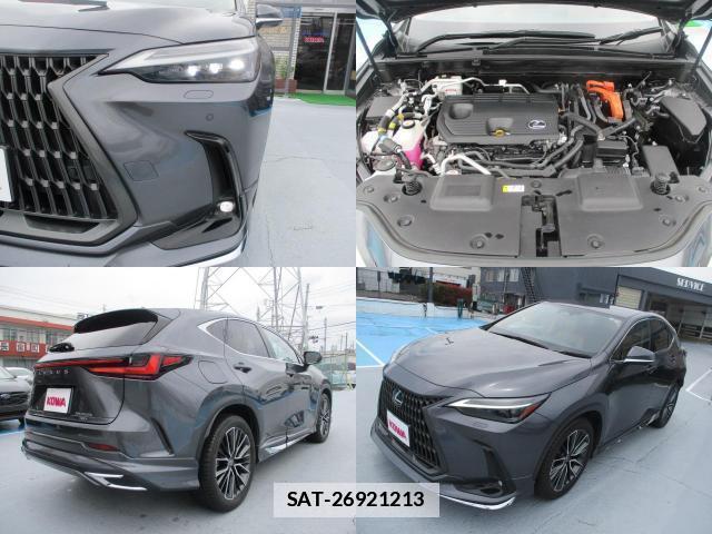 Lexus NX 2023-06 7802517-8