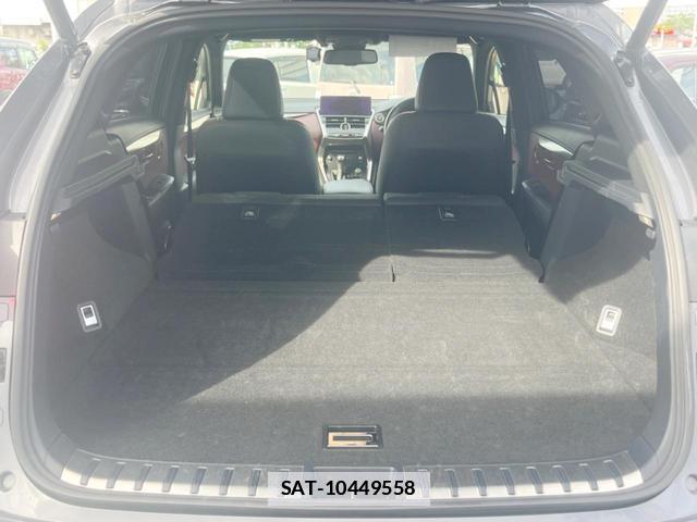 Lexus NX 2020-11 7804867-10