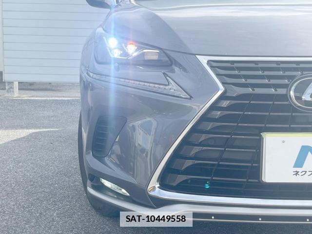 Lexus NX 2020-11 7804867-12