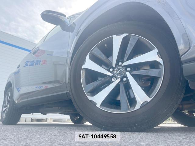 Lexus NX 2020-11 7804867-13