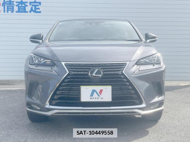 Lexus NX 2020-11 7804867-14