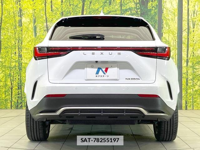 Lexus NX 2023-02 7805059-14