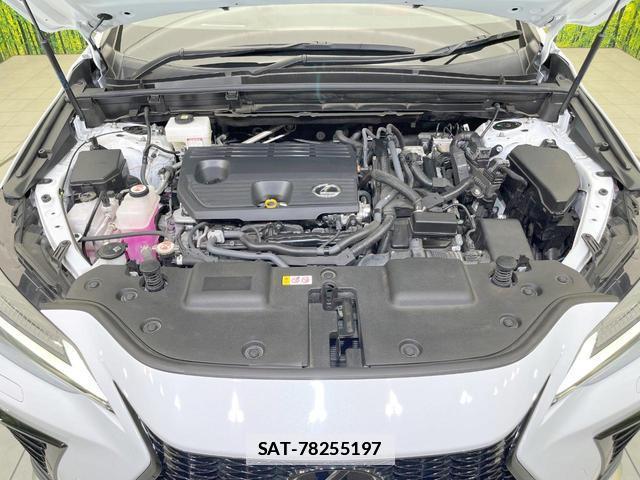 Lexus NX 2023-02 7805059-17