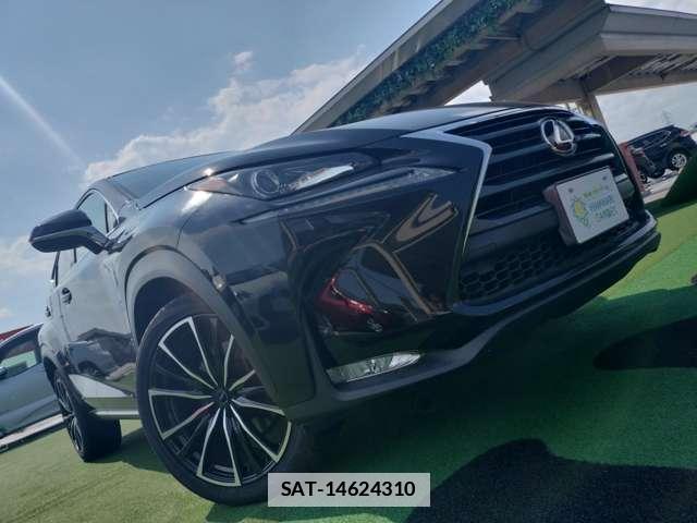 Lexus NX 2017-01 7805378-14