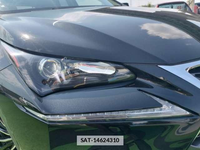 Lexus NX 2017-01 7805378-15