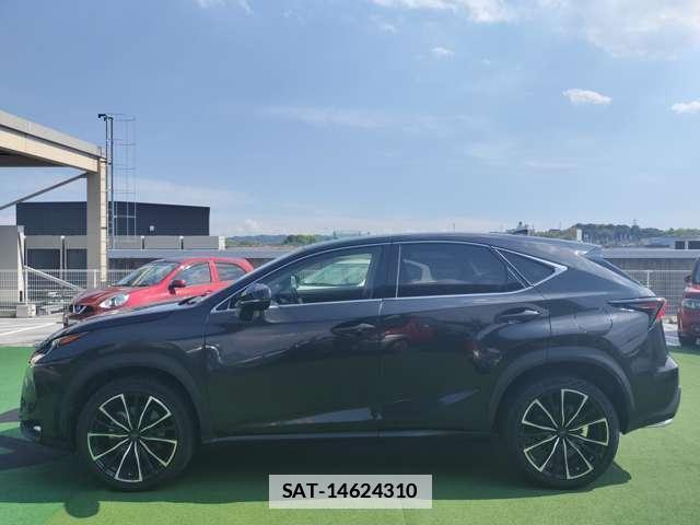 Lexus NX 2017-01 7805378-19