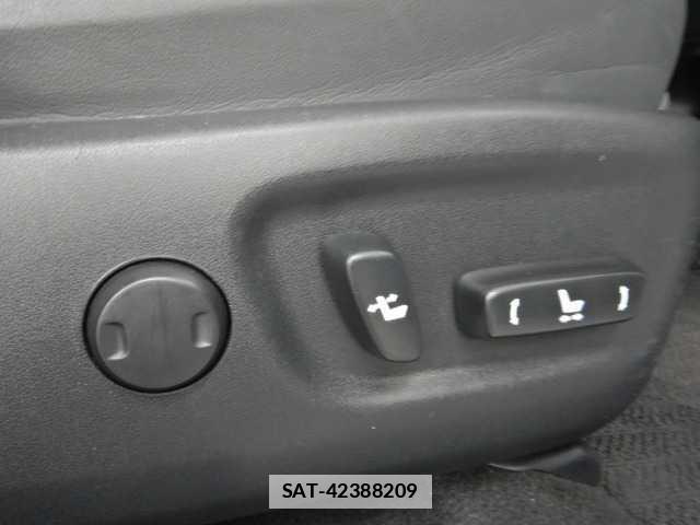 Lexus NX 2020-10 7810764-11