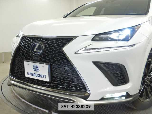 Lexus NX 2020-10 7810764-14