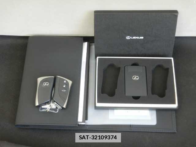 Lexus NX 2024-12 7810860-19