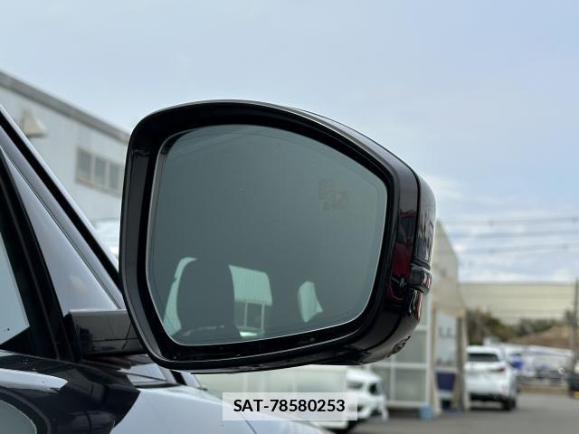Land Rover RANGE ROVER EVOQUE 2024-09 7806747-18