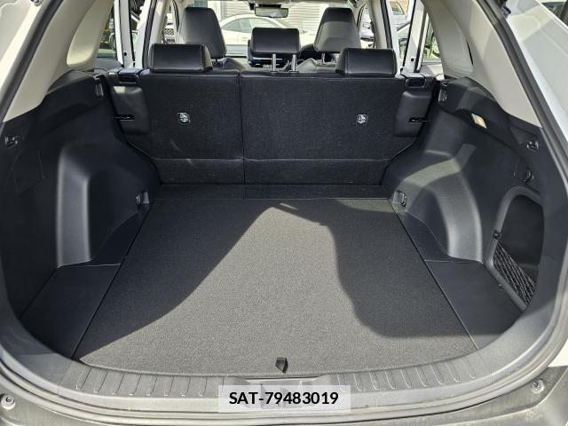 Toyota RAV4 2025-06 7809932-11