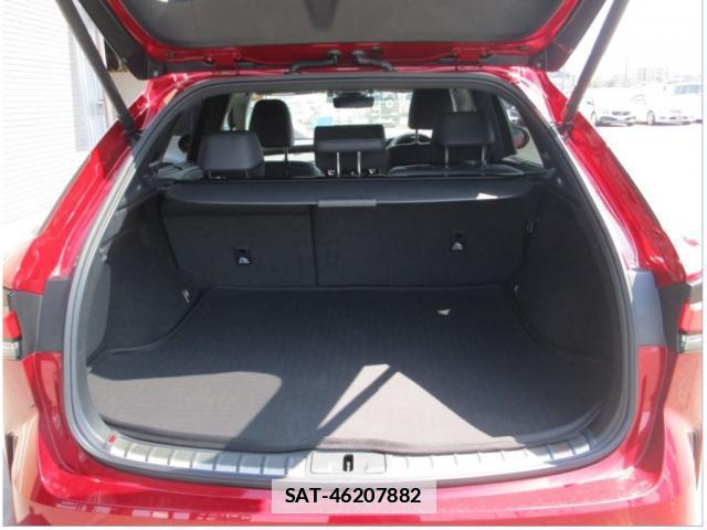 Lexus RX 2023-09 7793812-9