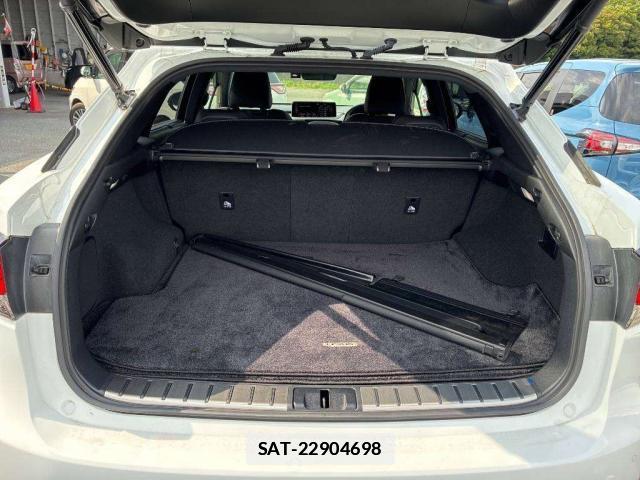Lexus RX 2021-05 7794112-4