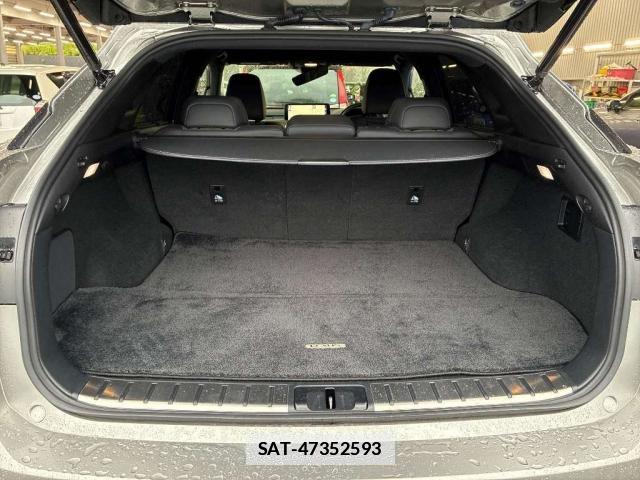 Lexus RX 2020-08 7794113-4
