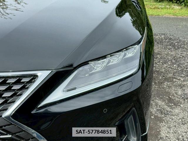Lexus RX 2019-11 7794326-3