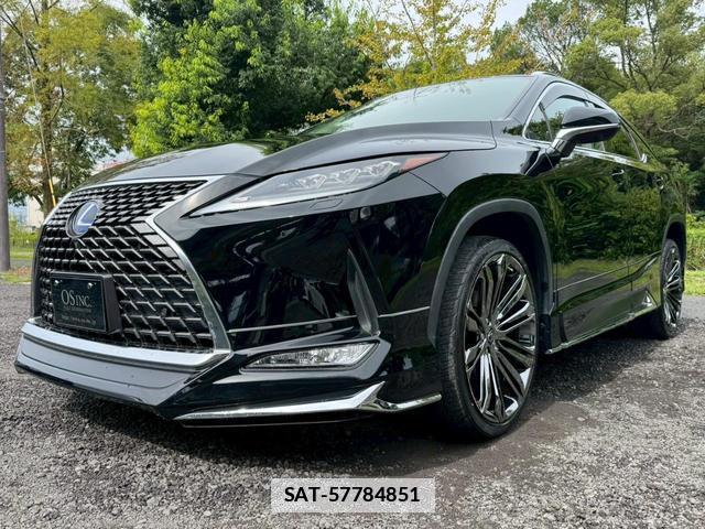 Lexus RX 2019-11 7794326-6