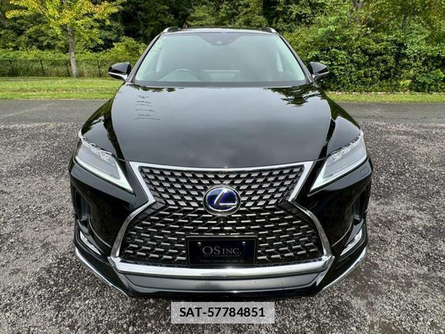 Lexus RX 2019-11 7794326-7