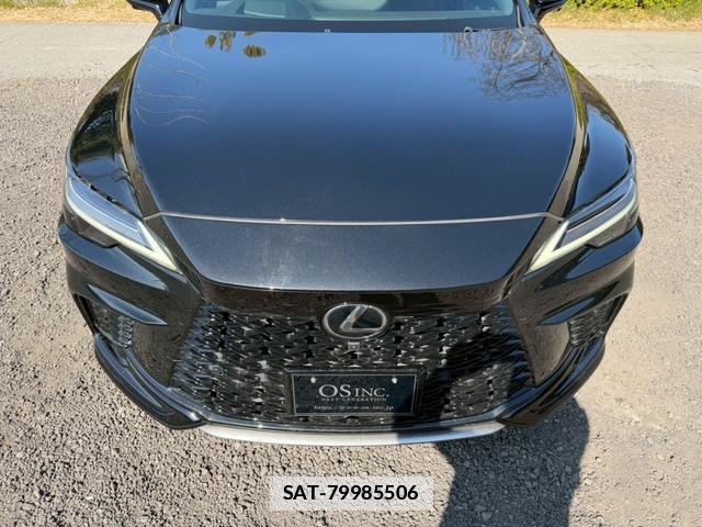 Lexus RX 2023-05 7794371-15