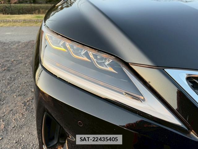 Lexus RX 2021-03 7794383-2