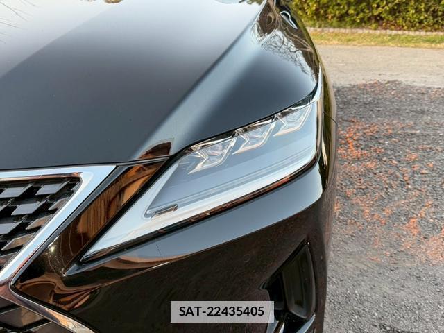 Lexus RX 2021-03 7794383-4