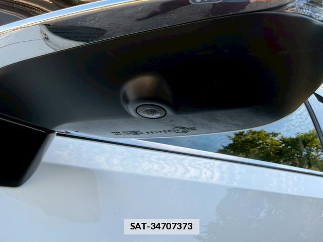 Lexus RX 2020-04 7794445-9