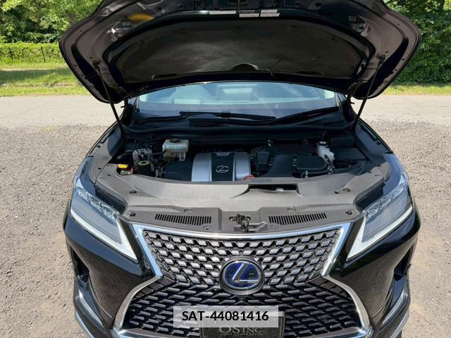Lexus RX 2020-02 7794447-17