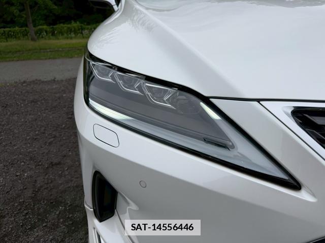 Lexus RX 2020-02 7794450-12