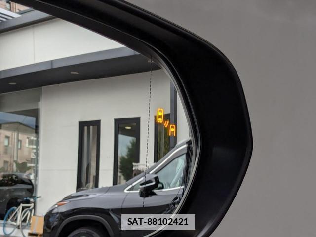 Lexus RX 2019-12 7795294-8
