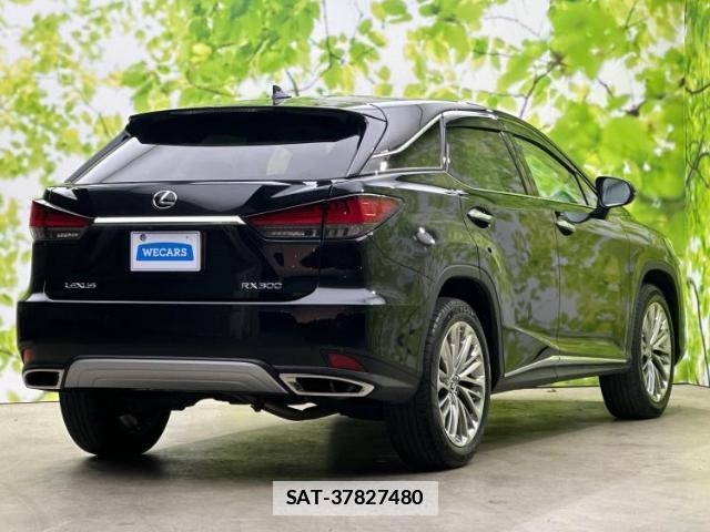Lexus RX 2019-09 7796557-2