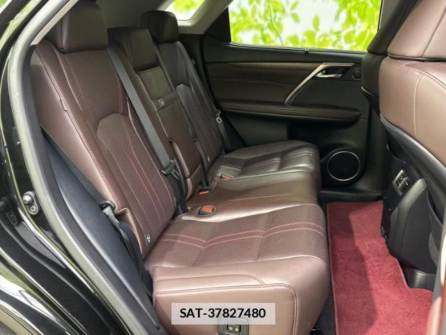 Lexus RX 2019-09 7796557-4