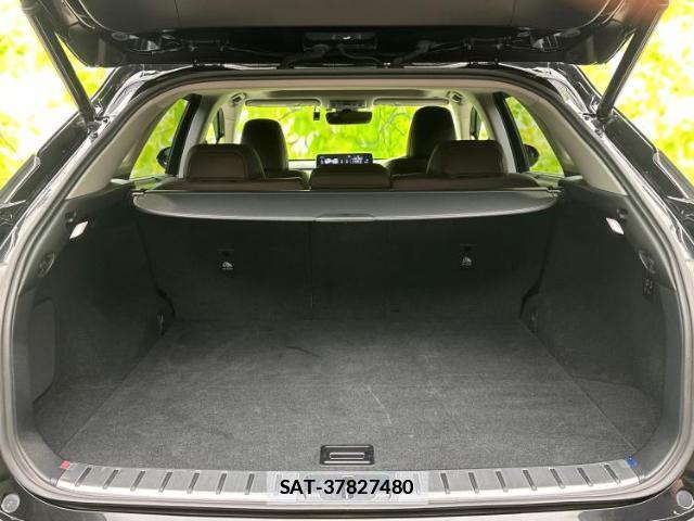 Lexus RX 2019-09 7796557-7