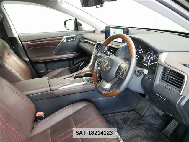 Lexus RX 2019-09 7797938-11