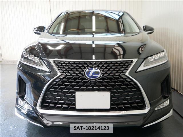 Lexus RX 2019-09 7797938-12