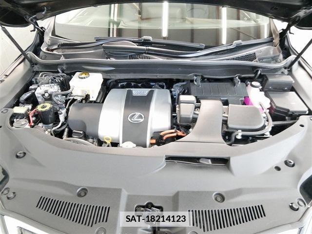 Lexus RX 2019-09 7797938-17