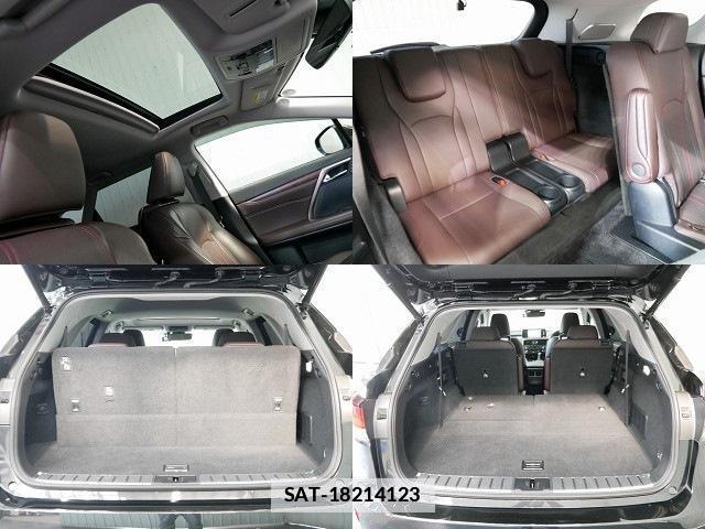 Lexus RX 2019-09 7797938-7